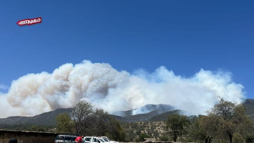 Gobierno de Puebla controla incendios: Avances y acciones claves