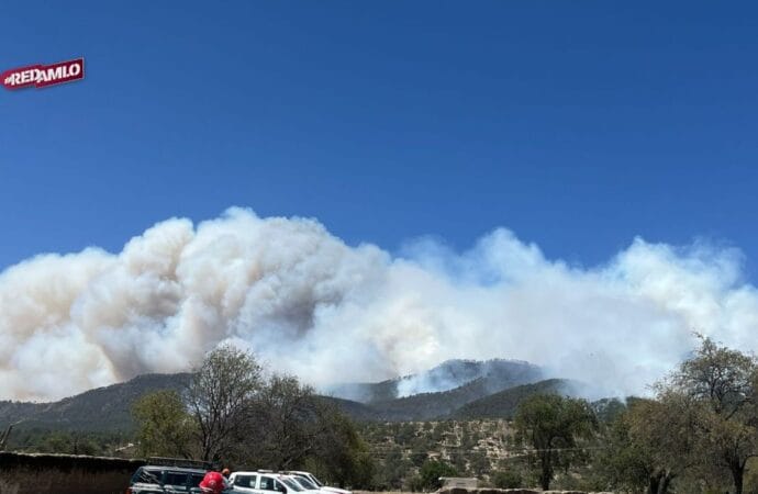 Gobierno de Puebla controla incendios: Avances y acciones claves