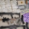 Detienen a “Chaparro”, generador de violencia en Tijuana, en operativo coordinado: SSPC