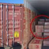IMPI decomisa 4.9 millones de cigarros pirata en Sonora