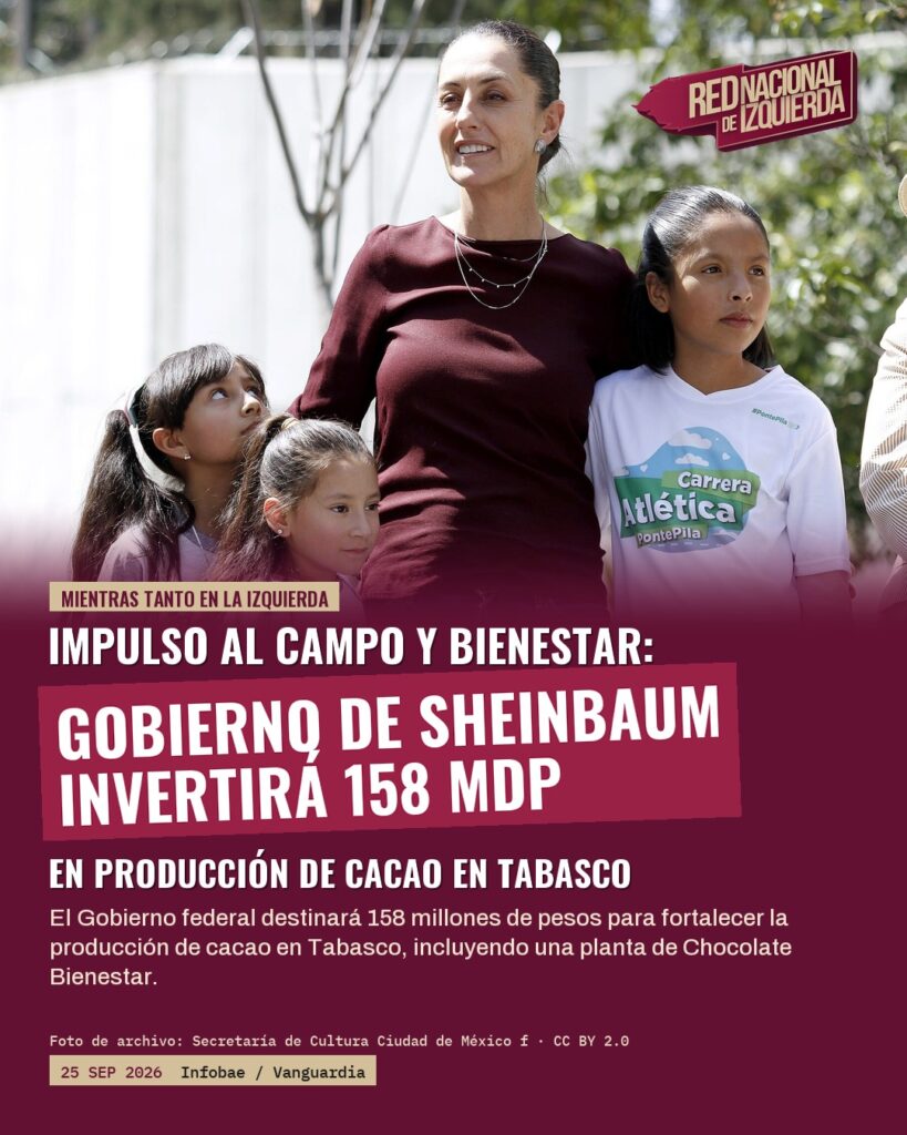 Gobierno de Sheinbaum invertirá 158 mdp en producción de cacao en Tabasco