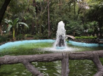 Detienen a posible responsable de presunto envenenamiento de perros en Parque España, CDMX
