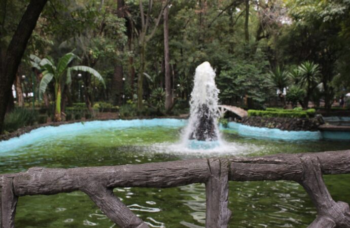 Detienen a posible responsable de presunto envenenamiento de perros en Parque España, CDMX