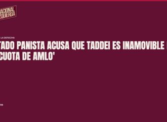 Diputado panista acusa que Taddei es inamovible por ser ‘cuota de AMLO’