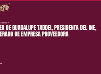 Chofer de Guadalupe Taddei, presidenta del INE, apoderado de empresa proveedora