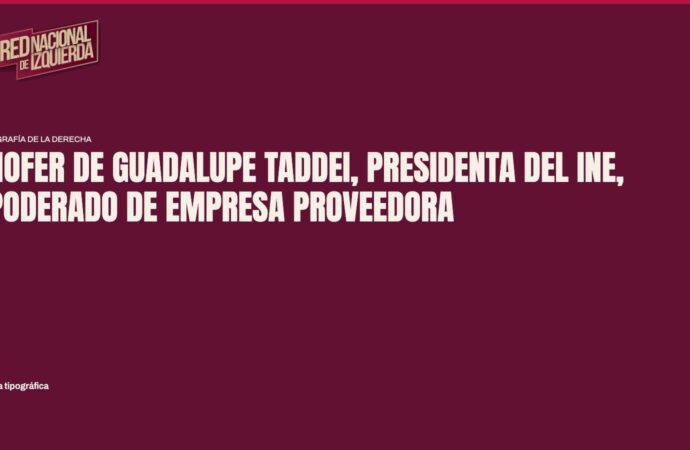 Chofer de Guadalupe Taddei, presidenta del INE, apoderado de empresa proveedora