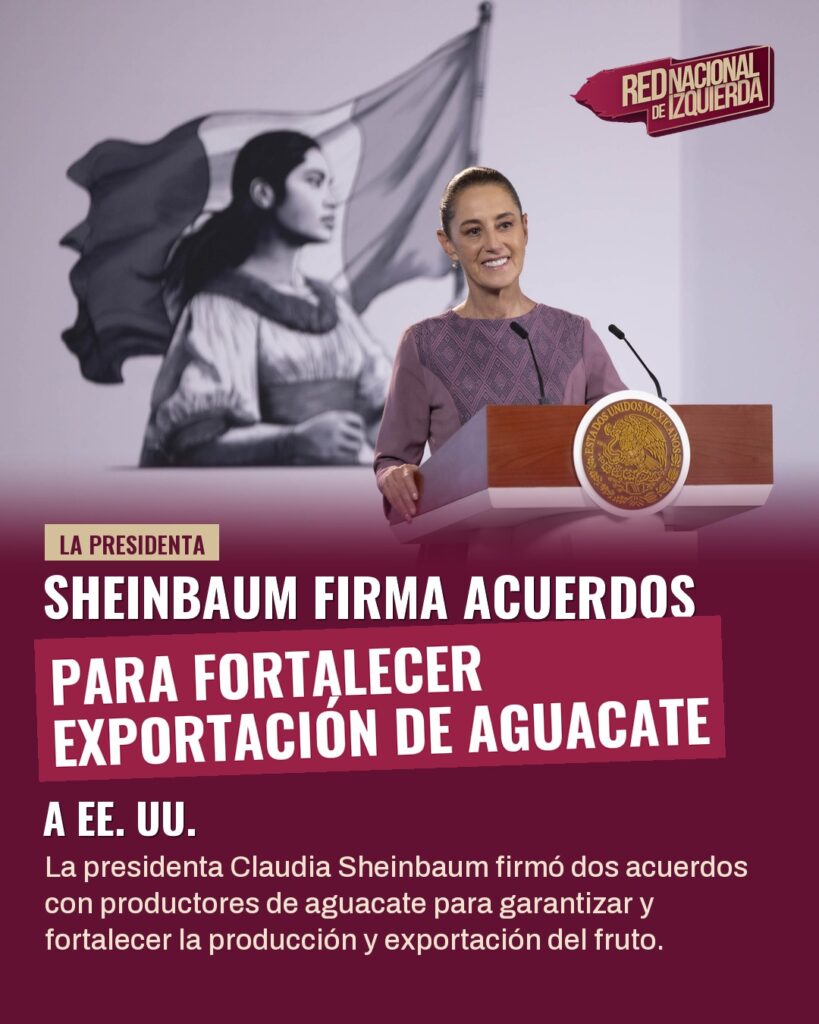 Sheinbaum firma acuerdos para fortalecer exportación de aguacate a EE. UU.